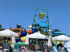 IMG_20240504_113447_172